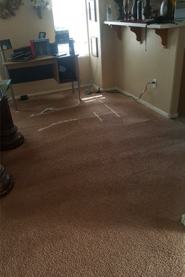 Domestic Carpet Cleaning in Las Vegas NV