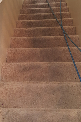 Carpet stain removal in Las Vegas NV
