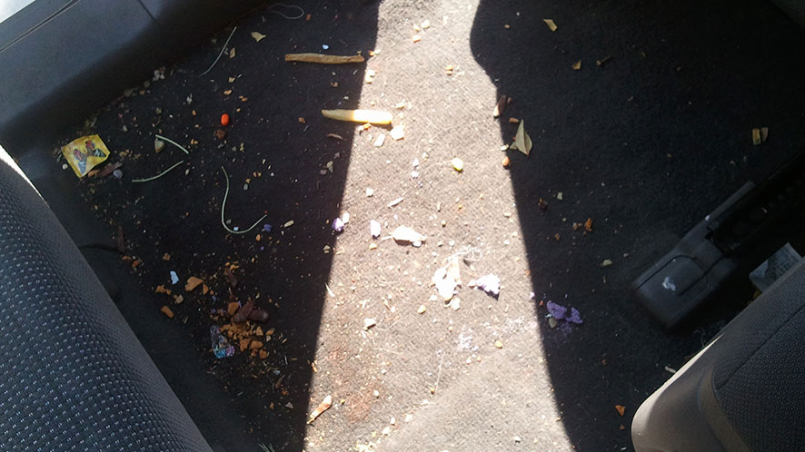 Stain Removal Services in Las Vegas