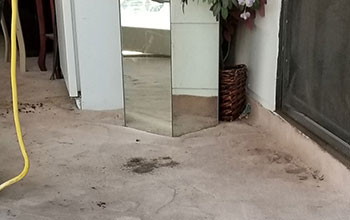 Mattress Cleaning in Las Vegas